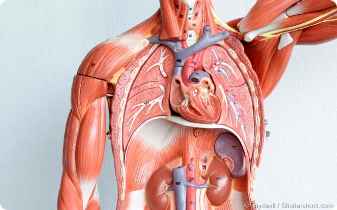Congenital Heart Defect Surgery Hyderabad