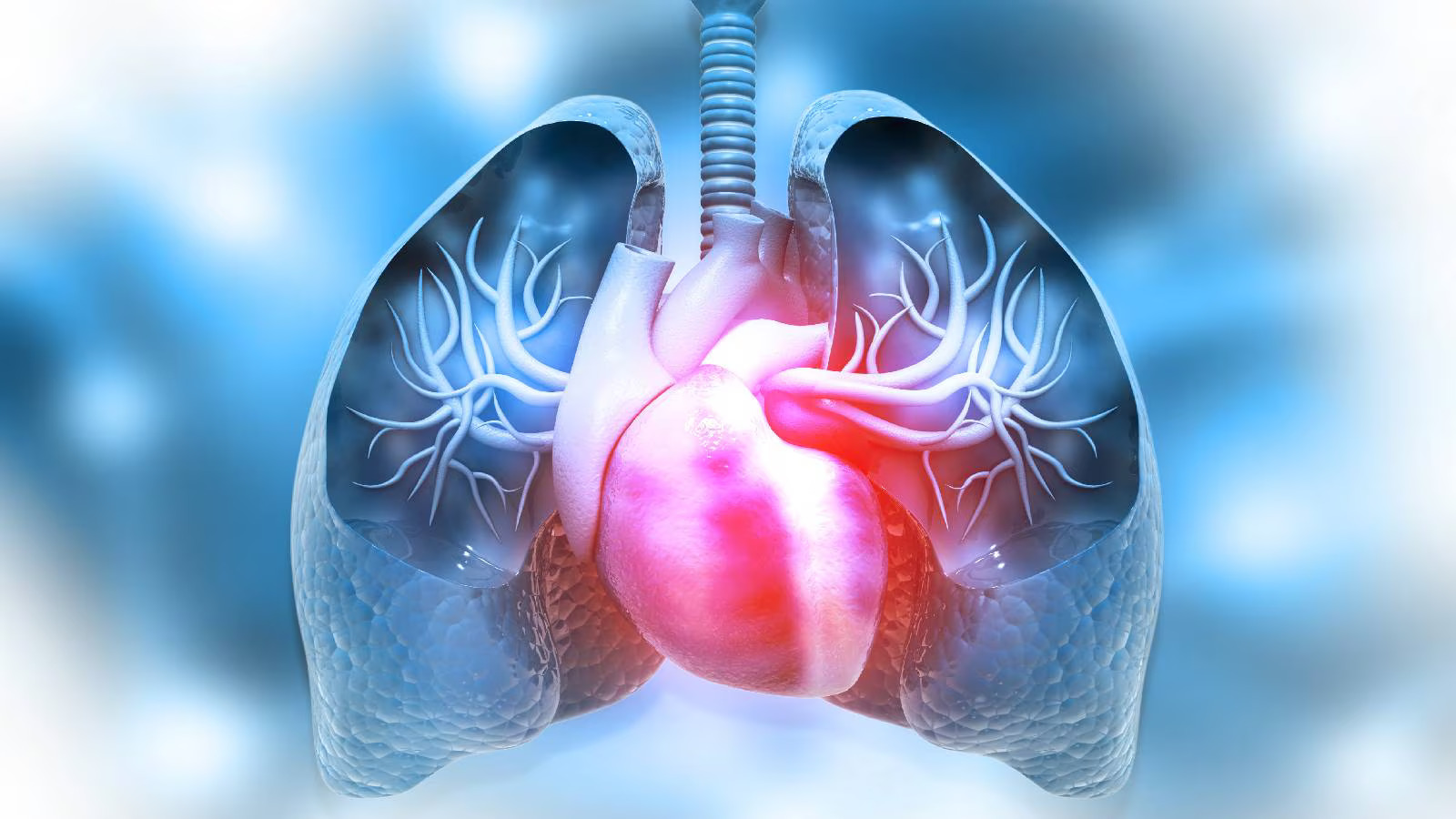 heart surgery Doctor in Hyderabad